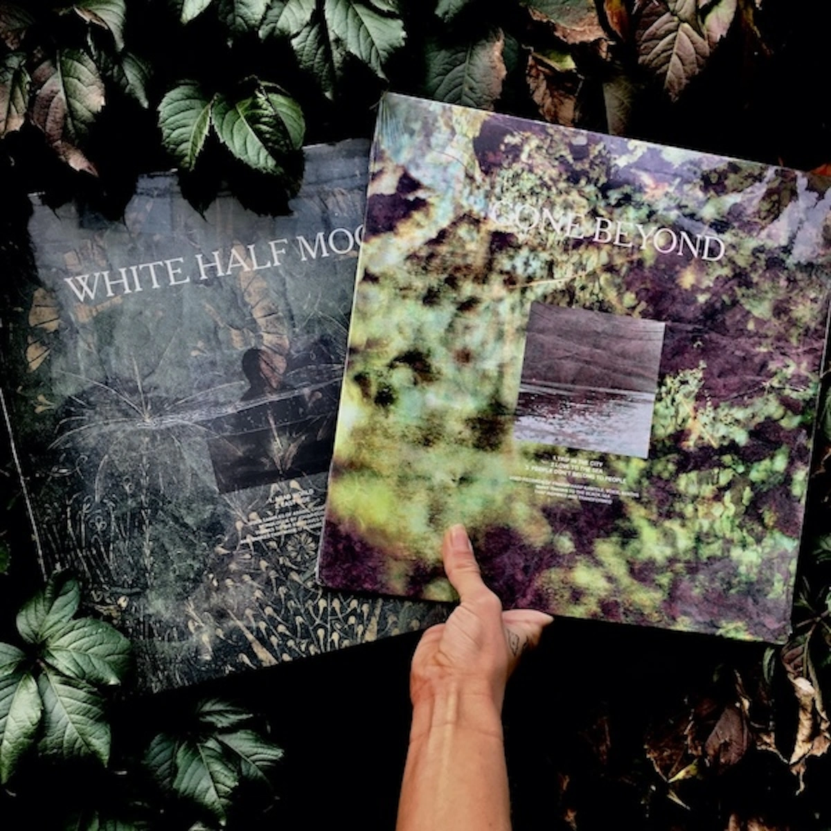 Gone beyond & White Half Moon